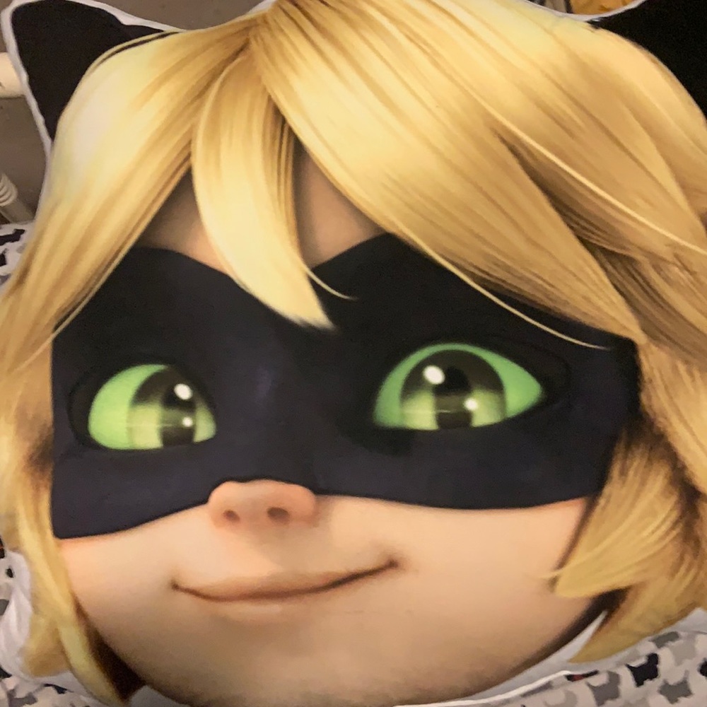 Miraculous Ladybug Cat Noir Like New Pillow.